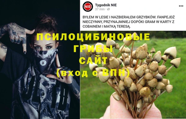 герыч Алексин