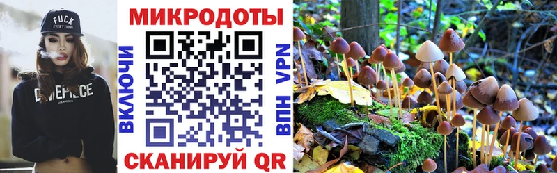 Галлюциногенные грибы мухоморы  купить   Октябрьск 